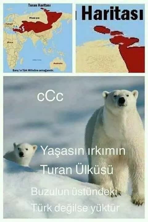 anlamsız fotoğraflar